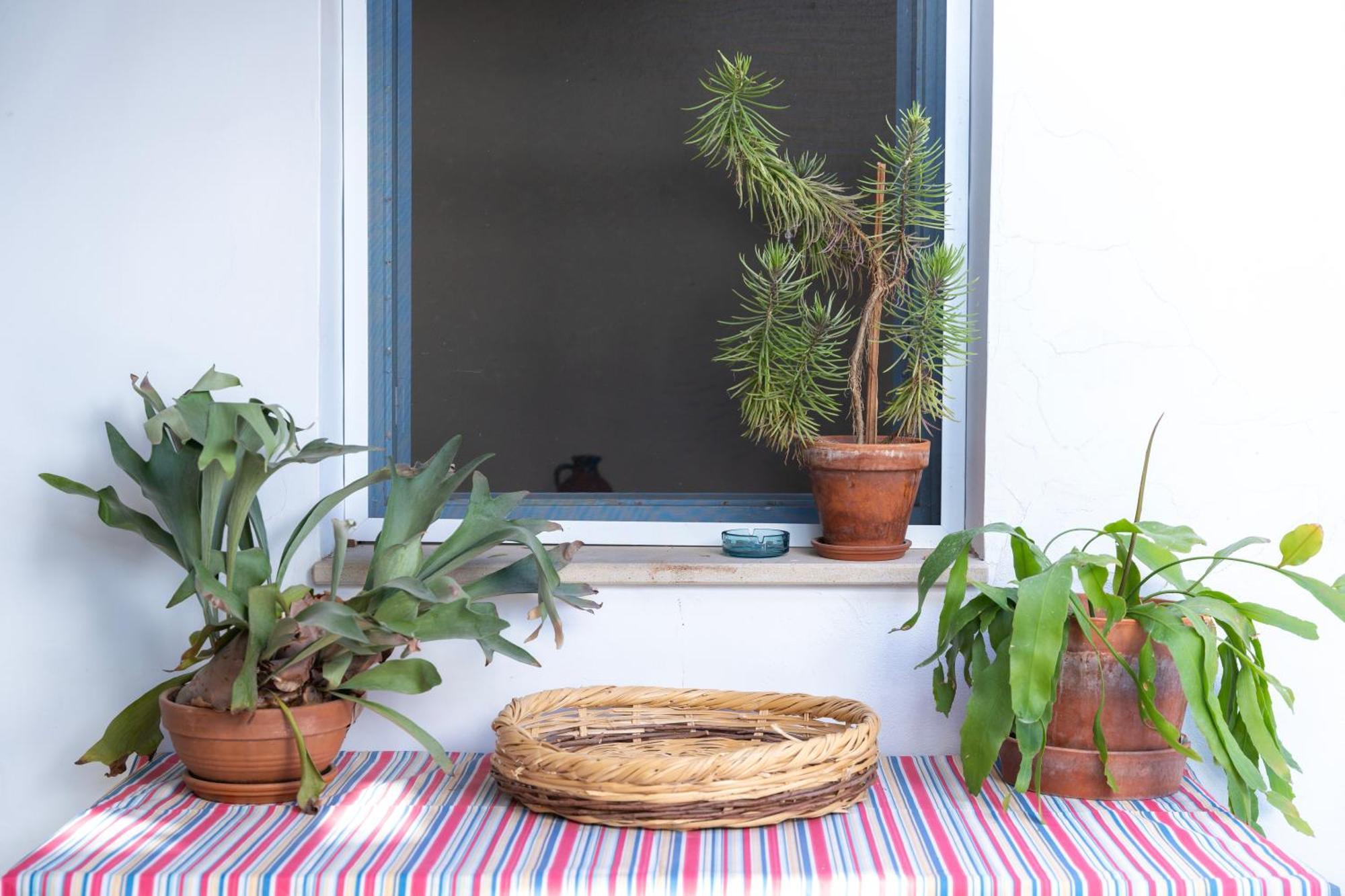Ananke Home Nicosia Exterior foto